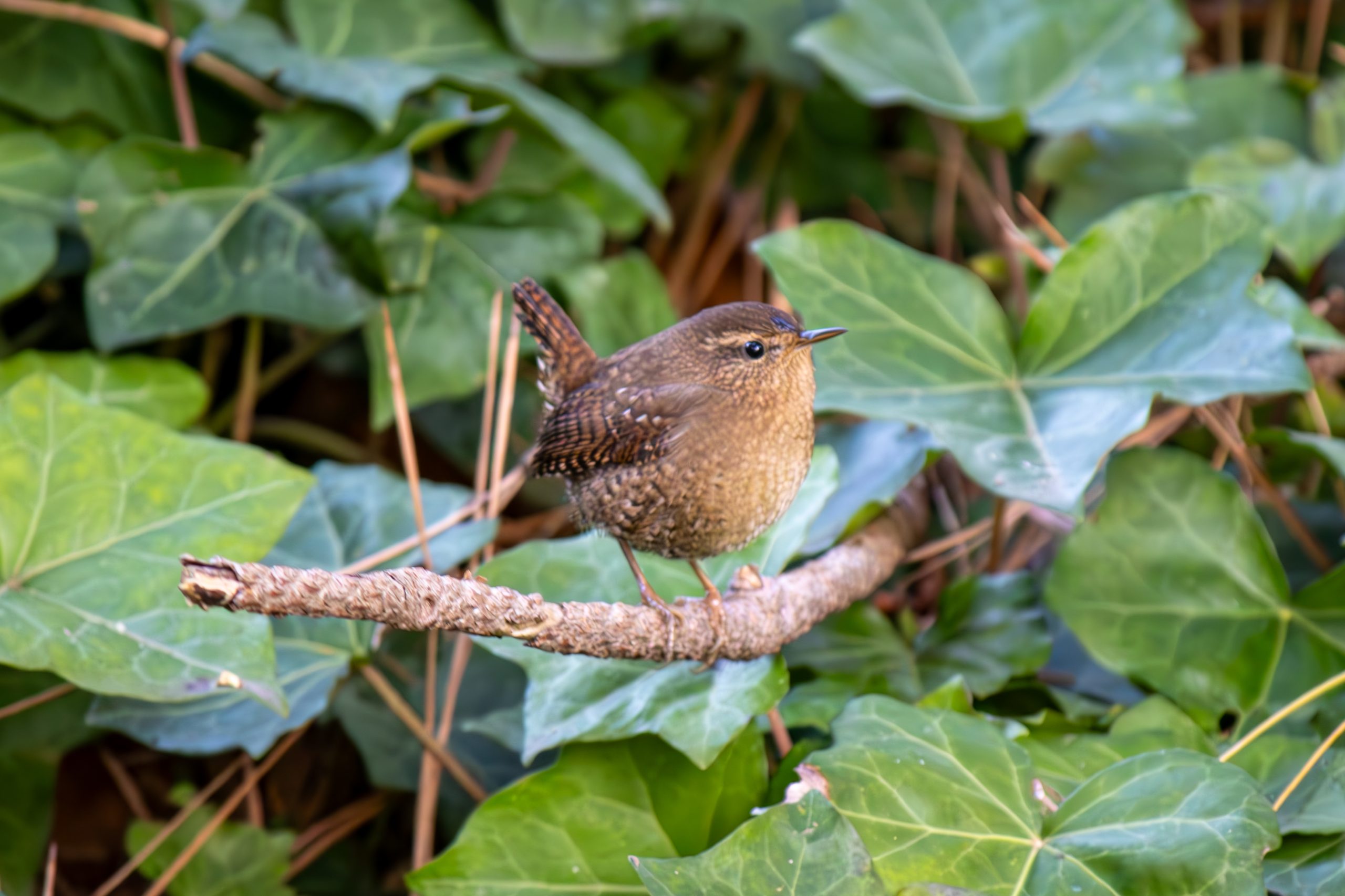 图片分享 Oct. 12