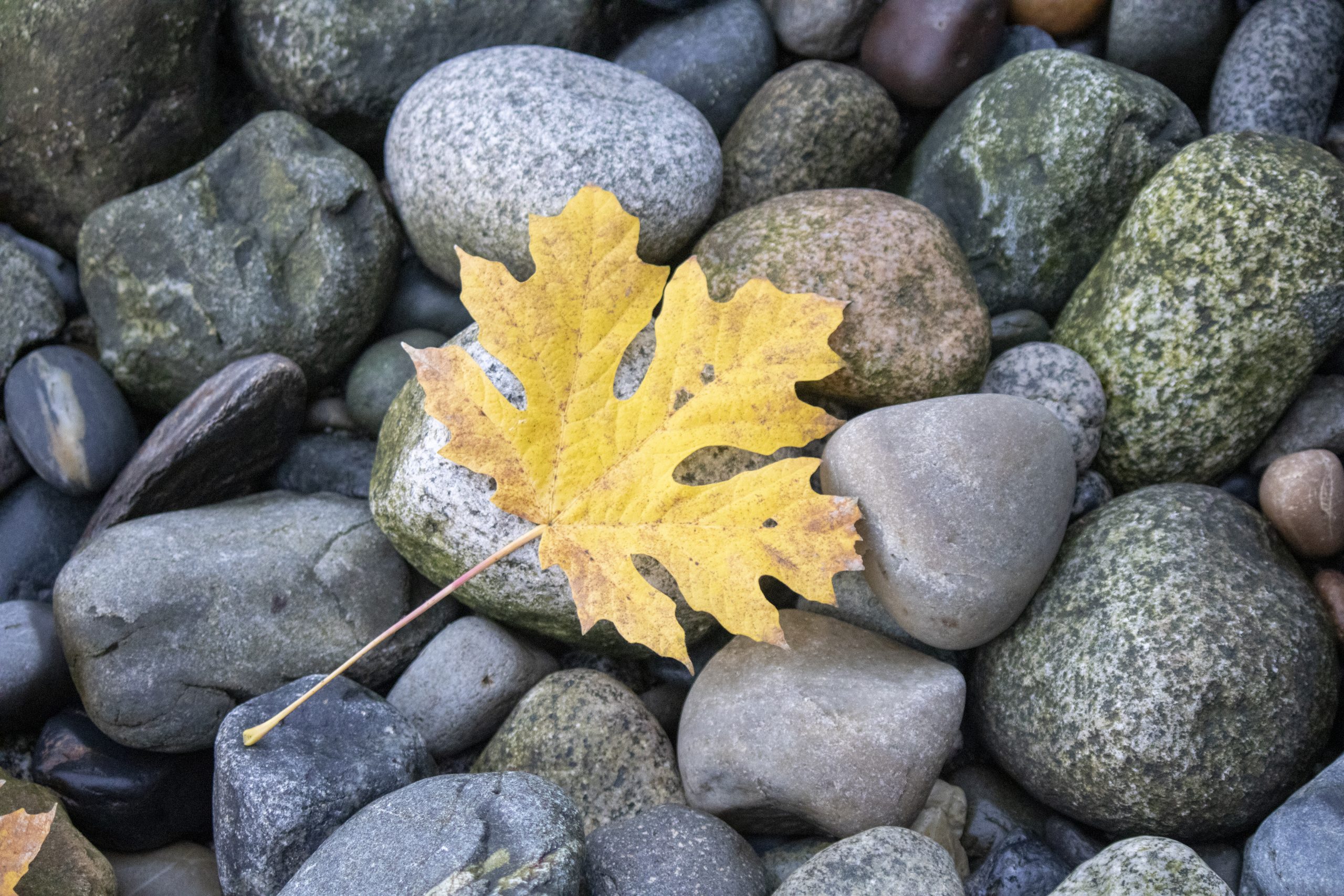 落日与城市 [图片分享 Nov. 10]